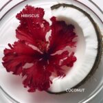 JEM SHAMPOO AFTER COLOR - Image 2